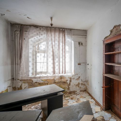 Termites à tête rousse sur un monticule de terre, signe d'infestation du bois.